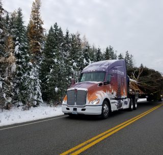 NFIB/Montana Business Delivers 2017 People’s Tree to Nation’s Capital
