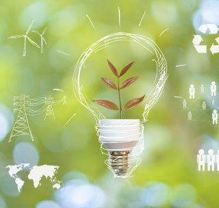 5 Ways a Small Business Can Go Green.