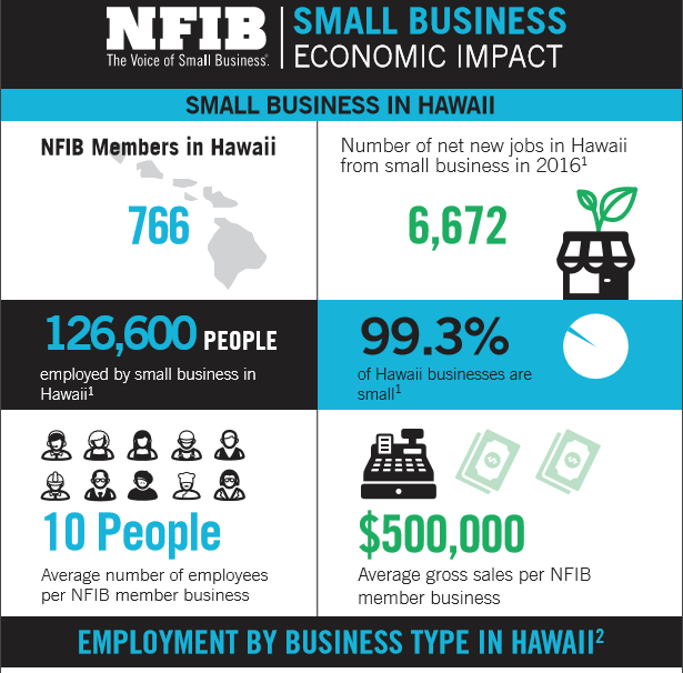 Hawaii Small Business in Facts and Figures NFIB