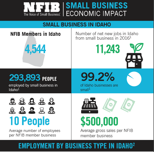 Idaho Small Business in Facts and Figures NFIB
