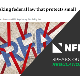 How Congress Can Reduce the Regulatory Burden on Small Business