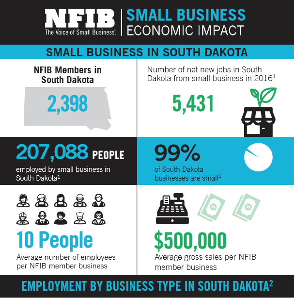 South Dakota Small Business in Facts and Figures - NFIB