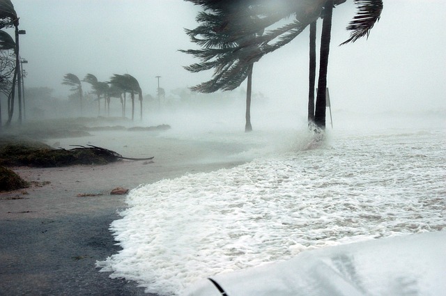 HURRICANE IAN: Links and Resources for South Carolina's Small Businesses